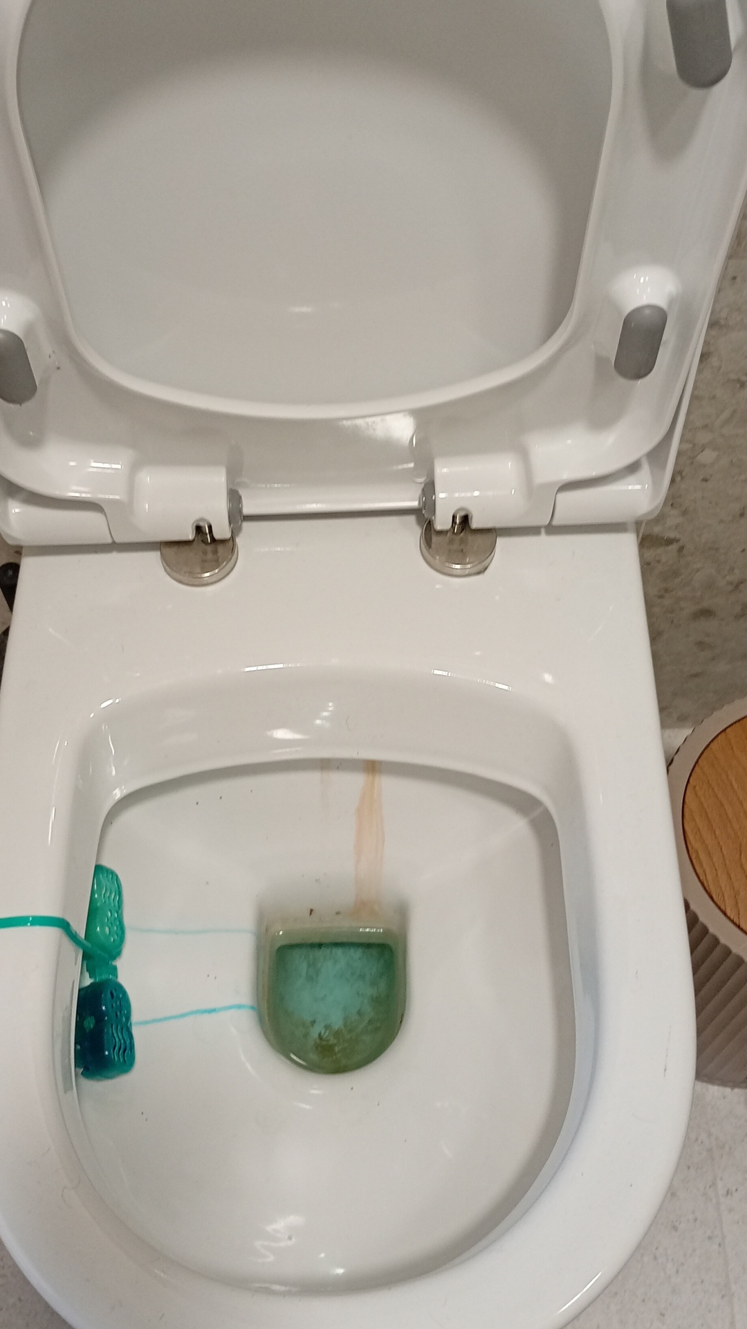 Before photo for Почистване на баня