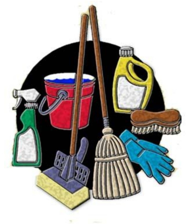 Dinevi-cleaning  logo