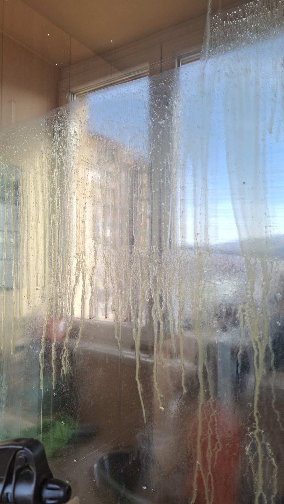 Before photo for Window Cleaning