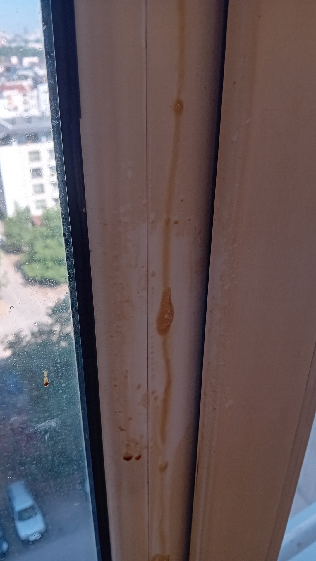 Before photo for Window Cleaning